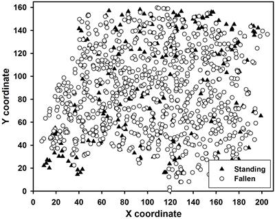 Change in Tree Spatial Pattern After Severe Wind Disturbance in Four North American Northern Hardwood and Sub-Boreal Forests